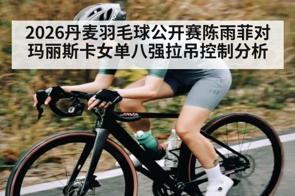 2026丹麦羽毛球公开赛陈雨菲对玛丽斯卡女单八强拉吊控制分析