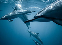 u8官网.u8登录-中国男篮世预赛集锦混剪,希望他们未来越打越好